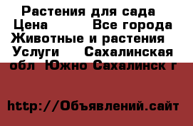 Растения для сада › Цена ­ 200 - Все города Животные и растения » Услуги   . Сахалинская обл.,Южно-Сахалинск г.